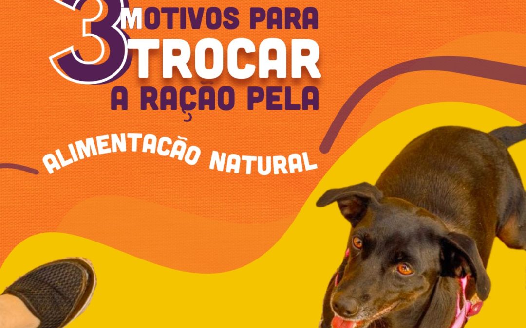 Porque as pessoas estão substituindo a ração dos seus pets pela Alimentação Natural?